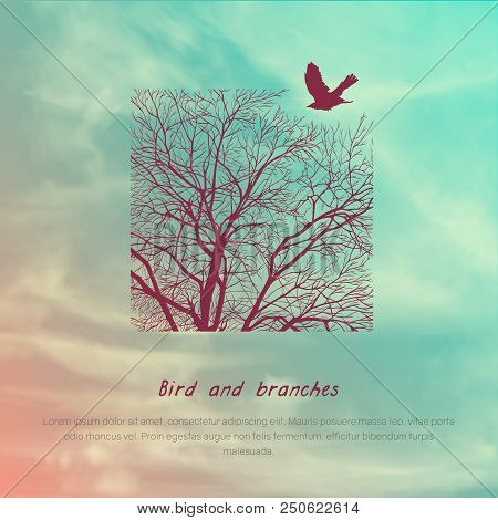 Square Banner With Crows And Tree Branches. Template For Postcard, Poster Or Advertisement