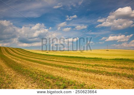 Harvested Empty Field On The Hills At Sunset.