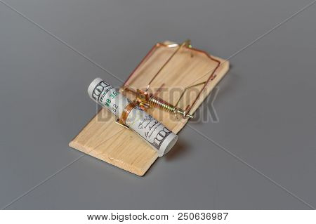 Danger Concept Money Risk Dollar Bank Trap
