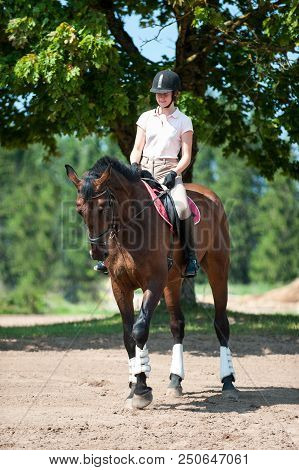 Teenage Girl Equestrian Riding Horseback On Arena At Sport Training Class. Vibrant Multicolored Outd