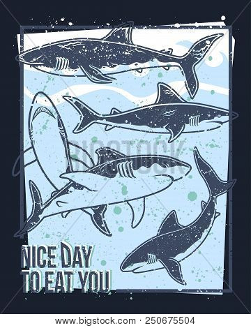 Abstract Vector Print For Girls, Boys, Clothes. Creative Background With Sharks. Funny Wallpaper For
