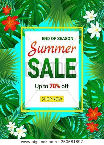 Summer Sale Banner. Seasonal Promotion Advertising. Vector Poster. Tropic Sellout Design. Floral Bac