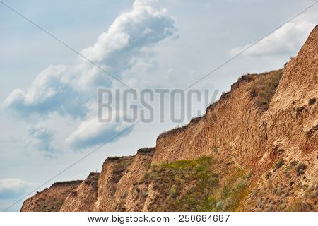 wildflowers on high coast by the sea, beautiful summer landscape, travel concept