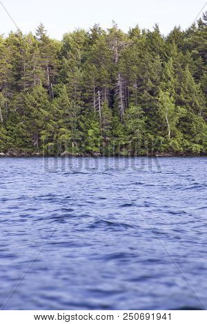 Lake Sunapee Tree Lined Shore In New Hampshire, U.s.a.