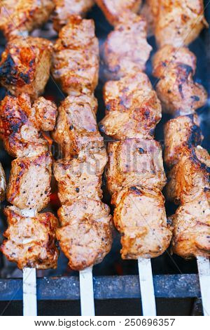 meat kebab shashlik on skewers  and grill with flame