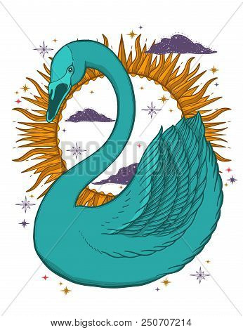 Sketch Graphic Illustration Beautiful Bird Swan Color With Mystic And Occult Hand Drawn Symbols. Vec