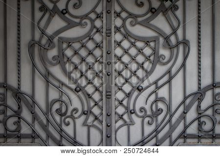Beautiful Decorative Metal Elements Forged Wrought Iron Gates