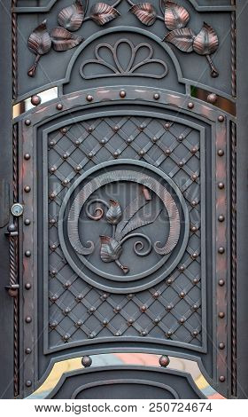 Beautiful Decorative Metal Elements Forged Wrought Iron Gates