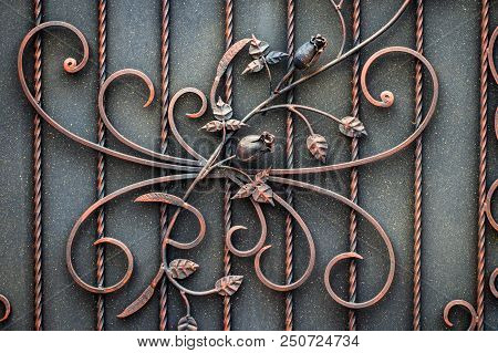 Beautiful Decorative Metal Elements Forged Wrought Iron Gates