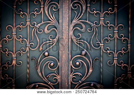 Beautiful Decorative Metal Elements Forged Wrought Iron Gates