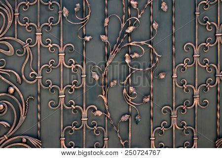 Beautiful Decorative Metal Elements Forged Wrought Iron Gates