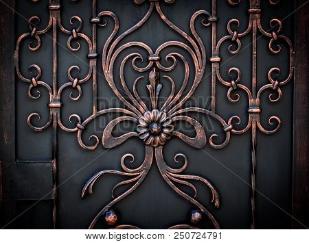 Beautiful Decorative Metal Elements Forged Wrought Iron Gates