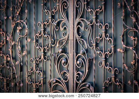 Beautiful Decorative Metal Elements Forged Wrought Iron Gates