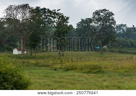 Ilapura, Karnataka, India - November 1, 2013: Small Housing At Edge Of Ilapura Marsh Land Set In Dar