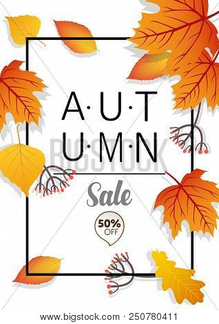 Autumn Sale Vector Banner Template With Frame And Sale Text In Fall Season Leaves Background For Sea