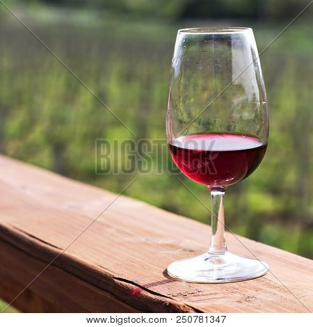 Glasses With Wine Red. Tasting Wine In The Vineyard.