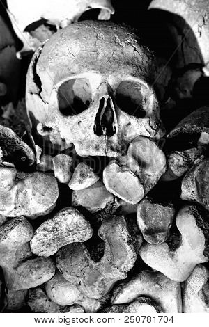 Skulls At The 