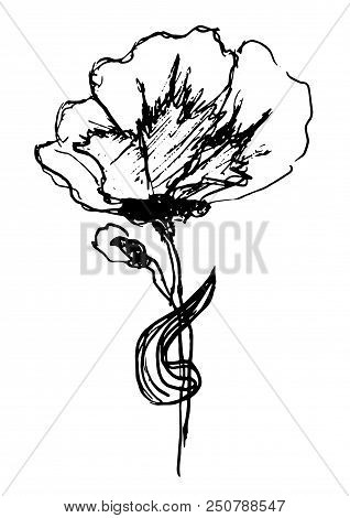 Abstract Hand Drawn Flower. Vector Illustration. Simple Textile Or Paper Design Element