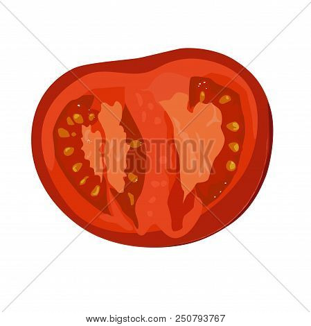 Tomato.realistic Vector Illustration. Salad Ingrid. Vitamins For Health.