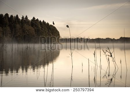 Sunrise On The Kaitra Lake, Latgale Region, Latvia, Europe. Sepia Toning, Retro Photo Effect