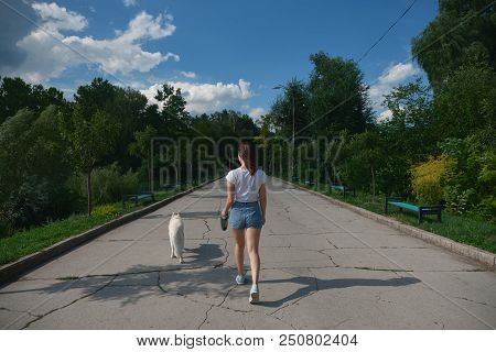 Young Woman Back View, Walking Her Dog In The Park, On The Pavement In Perspective, With Trees And S