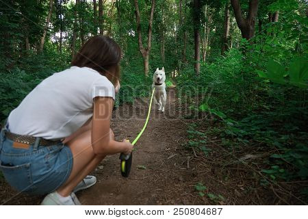 Young Modern Woman Hiking With A Dog In The Summer Landscape. Friendship, People, Animals