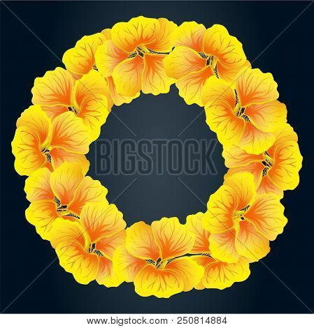 Bright Nasturtium Wreath. Wild Yellow Flowers. Beautiful floral Circle Isolated On Dark Background. 