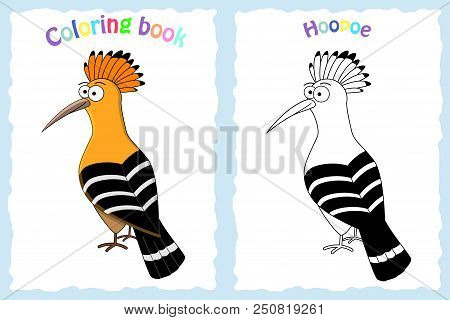 Coloring Book Page For Preschool Children With Colorful Hoopoe And Sketch To Color
