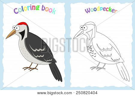 Coloring Book Page For Preschool Children With Colorful Woodpecker And Sketch To Color