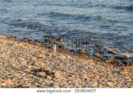 Pebbles On The Beach Pebbles On The Sea Shore And Waves Of Water Illuminated By The Rays Of The Sun