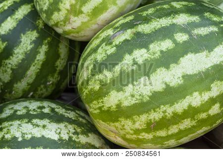 Market Counter With Delisios Watermelons.