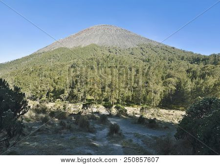 View Of Semeru Mountain Seen From Kalimati. Malang, Indonesia