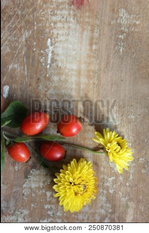 Rhealth Flower Osehip Berries On Wooden Background. Autumn Composition.