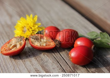 Rosehip Berries On Wooden Background. Autumn Composition. Useful Tea Ingrid.