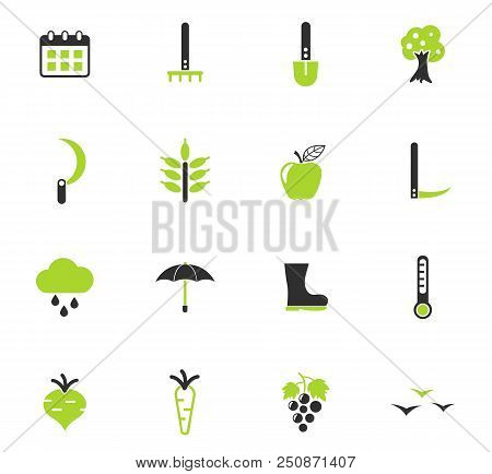 Autmn Color Vector Icons For Web And User Interface Design