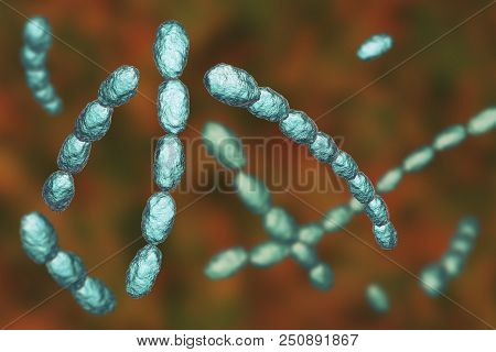 Haemophilus Ducreyi Bacteria, 3d Illustration. Gram-negative Coccobacillus, Which Causes The Sexuall