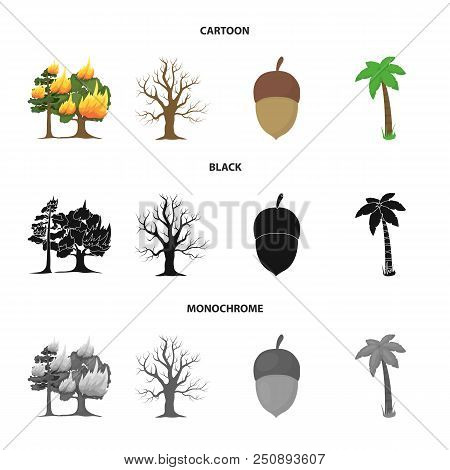 Burning Tree, Palm, Acorn, Dry Tree.forest Set Collection Icons In Cartoon, Black, Monochrome Style 
