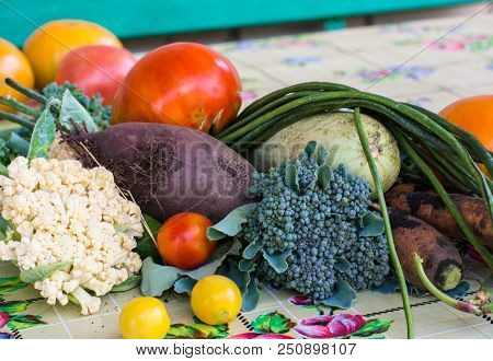 Closeup Of Freshly Harvested Vegetables Turnips, Beetroots, Carrots, Round Marrow, Tomatoes, Cucumbe