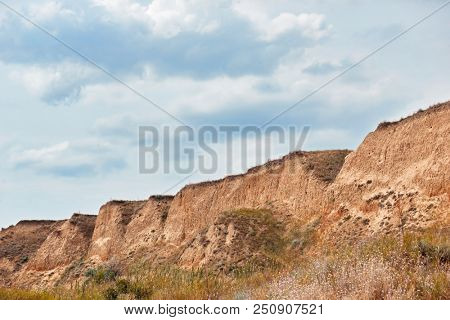 wildflowers on high coast by the sea, beautiful summer landscape, travel concept