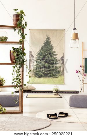 Plants On Wooden Shelves In Flat Interior With Poufs, Shoes, Mat And Diy Poster. Real Photo