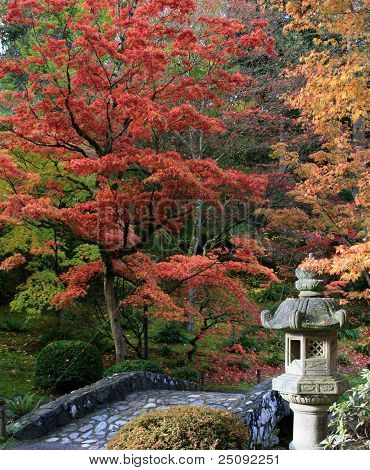 Arboretum, Seattle japanska trädgård #15