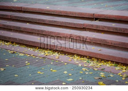 Empty Porch Of The School Covered In Yellow Autumn Leaves. Nobody