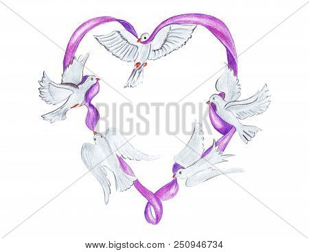 Hand Drawing Watercolor Pencils Doves Hovering Around The Tape In The Shape Of Heart