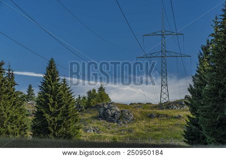 Post Pole In Slavkovsky Les National Park In Sunny Summer Morning