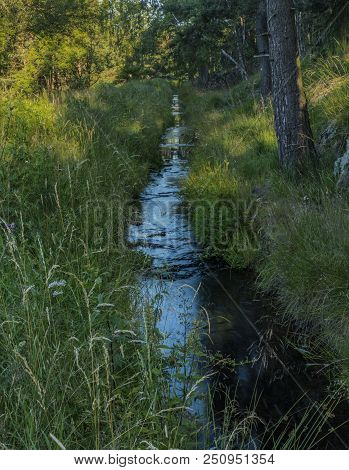 Dlouha Stoka Creek In Forest In Slavkovsky Les National Park