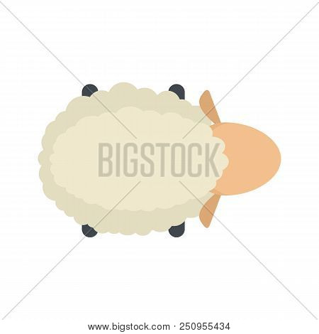 Sheep Air View Icon. Flat Illustration Of Sheep Air View Vector Icon For Web Isolated On White