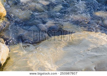 Pebbles On The Beach Pebbles On The Sea Shore And Waves Of Water Illuminated By The Rays Of The Sun