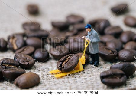 Miniature People, A Man Worker Using Pallet Jack To Lift Heavy Roasted Coffee Bean And Move It To Gu