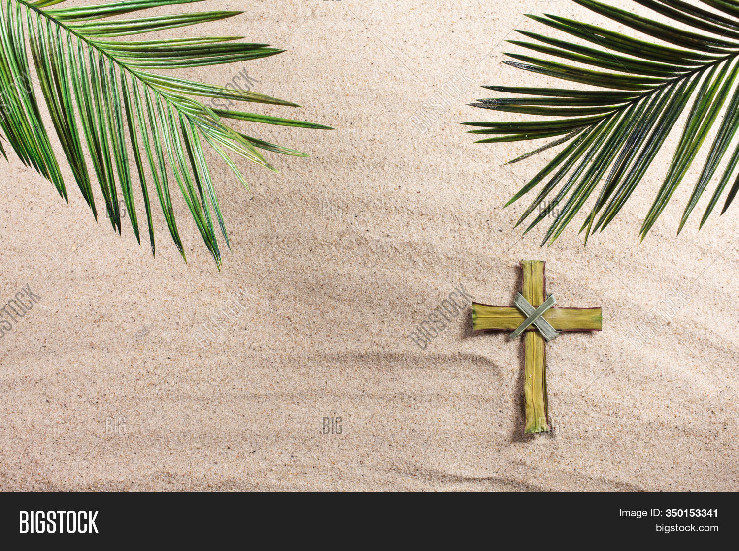 Cross Palm Tree Leaves Image & Photo (Free Trial) Bigstock