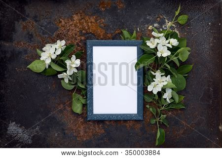 Creative Top View Apple Tree Blooming Flowers Brunch Frame On On Rustic Wooden   Background With Cop